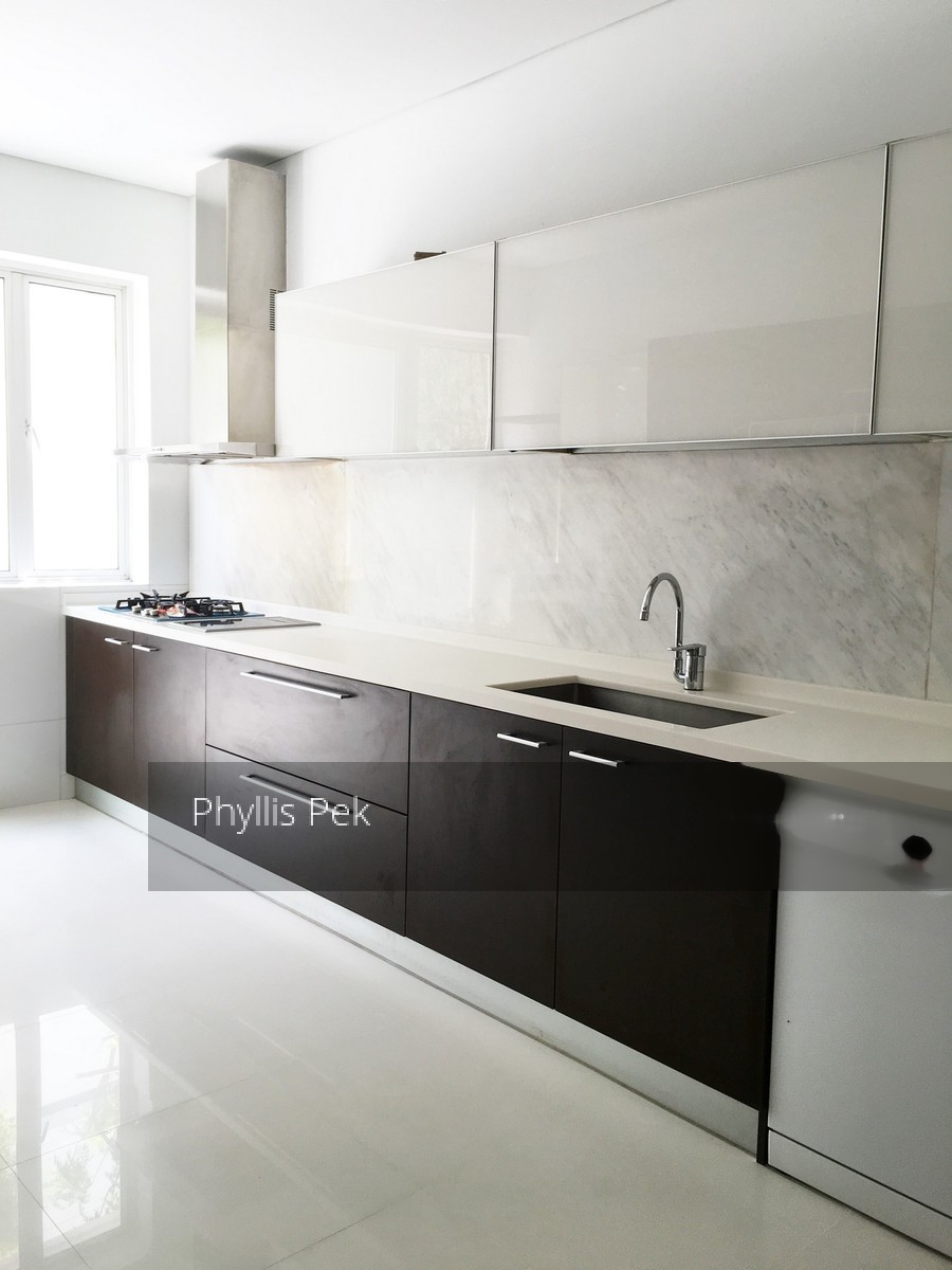Shamrock Park (D10), Terrace #153498822